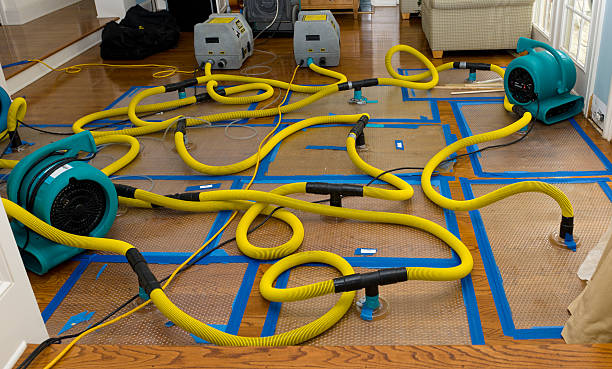 Professional Water Damage Restoration technician working in Black Mountain, NC